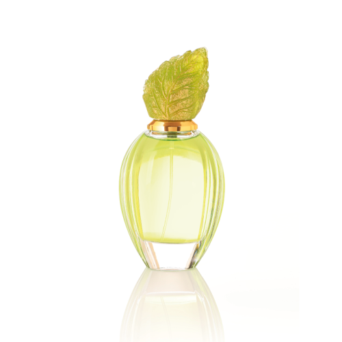 Hadaeq - For her - Western Perfume - 100 ML